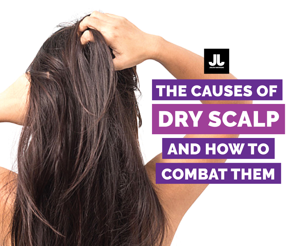 The Causes of Dry Scalp and How to Combat Them! – JouJou Hair Studio